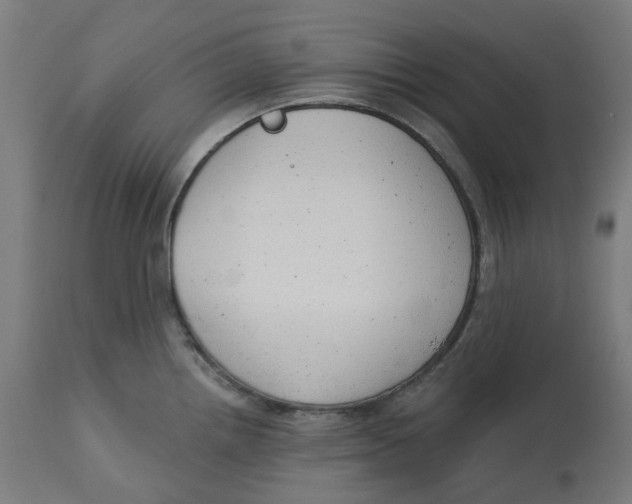 X0000112761242200909171242