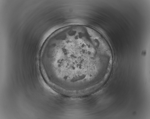 X0000112761243200909171242