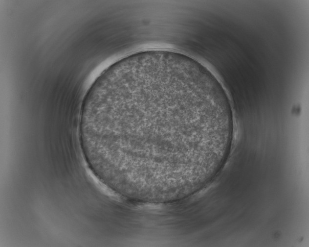 X0000112761245200909171242