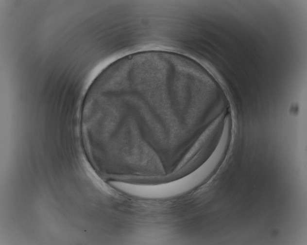 X0000112761246200909171242