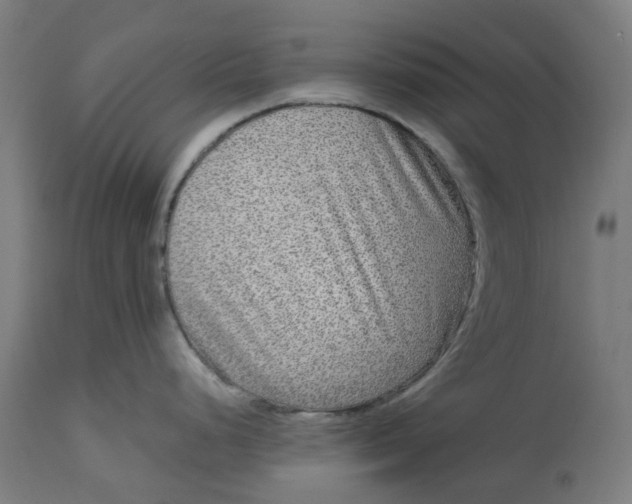 X0000112761248200909171242