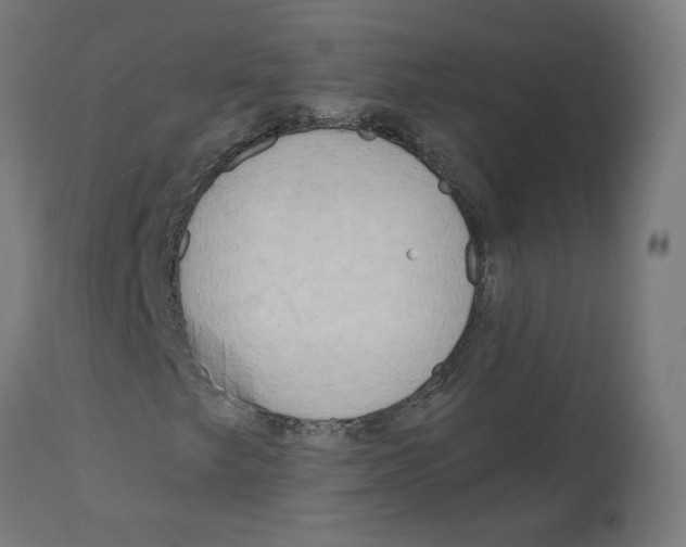 X0000112761249200909171241