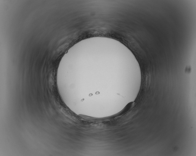 X0000112761250200909171241