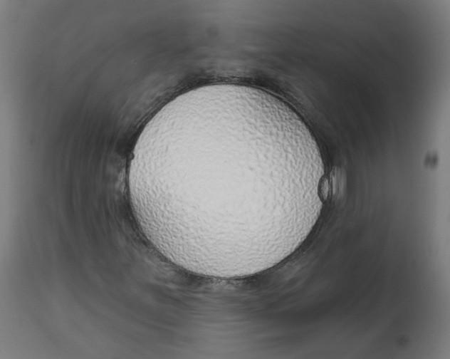 X0000112761251200909171241