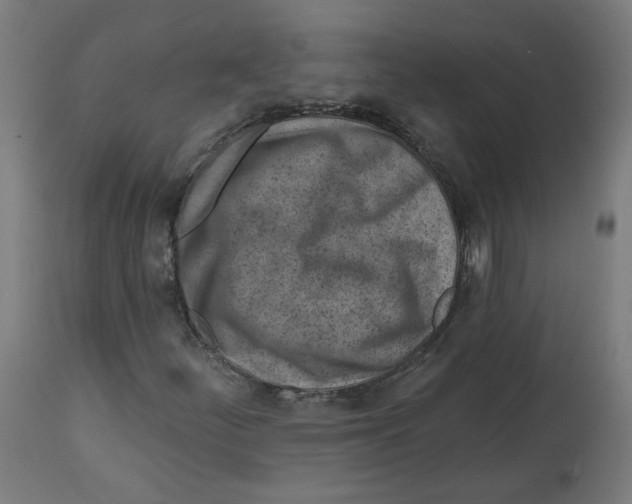 X0000112761252200909171241