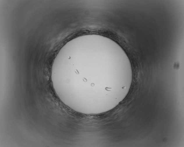 X0000112761253200909171241