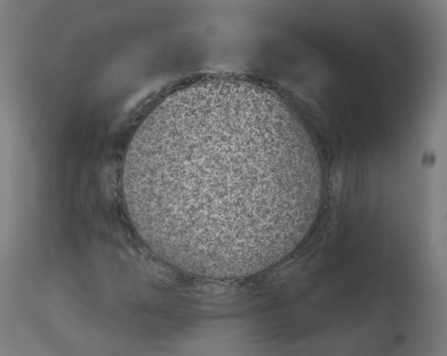 X0000112761254200909171241