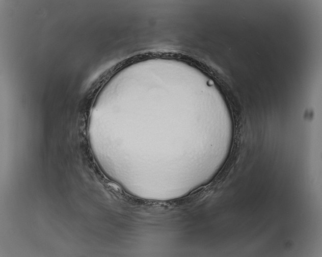 X0000112761255200909171241