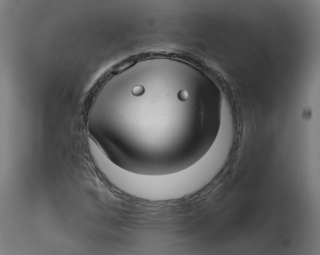 X0000112761256200909171241