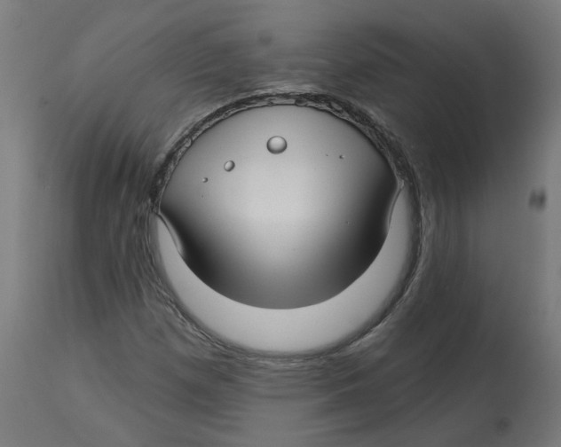 X0000112761257200909171241