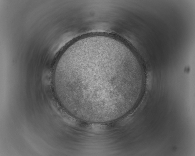 X0000112761258200909171241