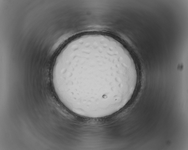 X0000112761259200909171241