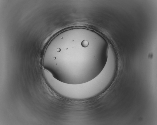 X0000112761260200909171241