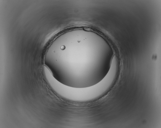 X0000112761261200909171241
