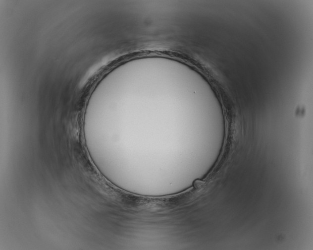 X0000112761262200909171241