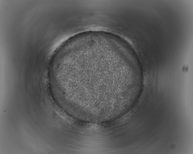 X0000112761263200909171241