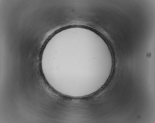 X0000112761264200909171241
