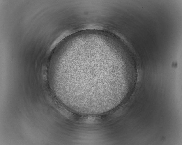 X0000112761266200909171241