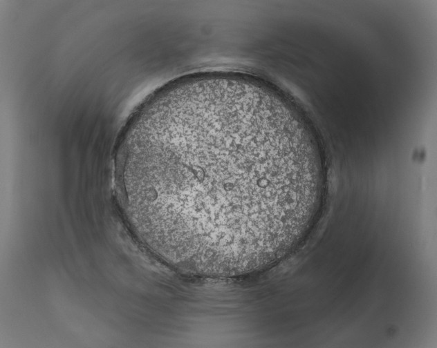 X0000112761267200909171241