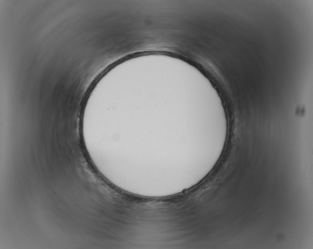 X0000112761268200909171241