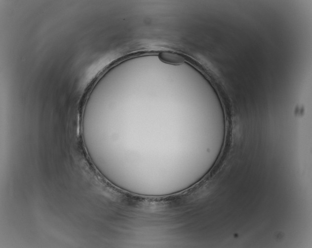 X0000112761269200909171241