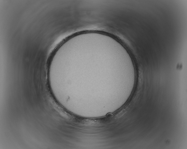 X0000112761270200909171241