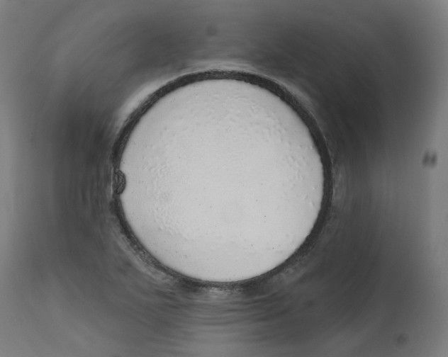 X0000112761271200909171241