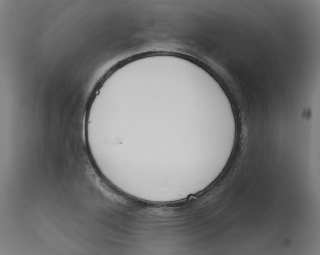 X0000112761272200909171241