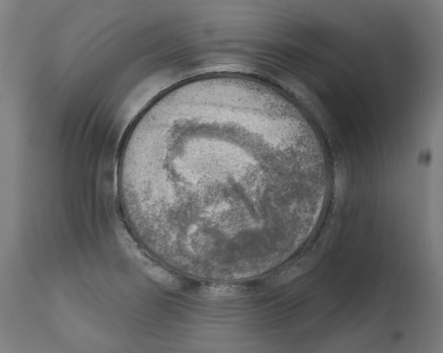 X0000112761274200909171241