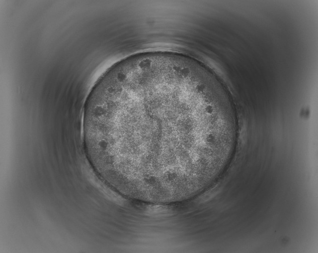 X0000112761275200909171241