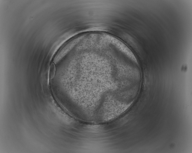 X0000112761276200909171241