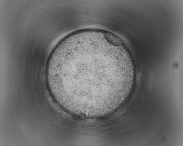 X0000112761279200909171241