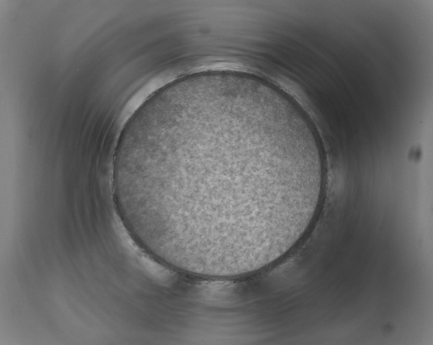 X0000112761282200909171241