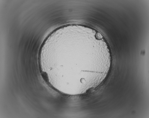 X0000112761283200909171241