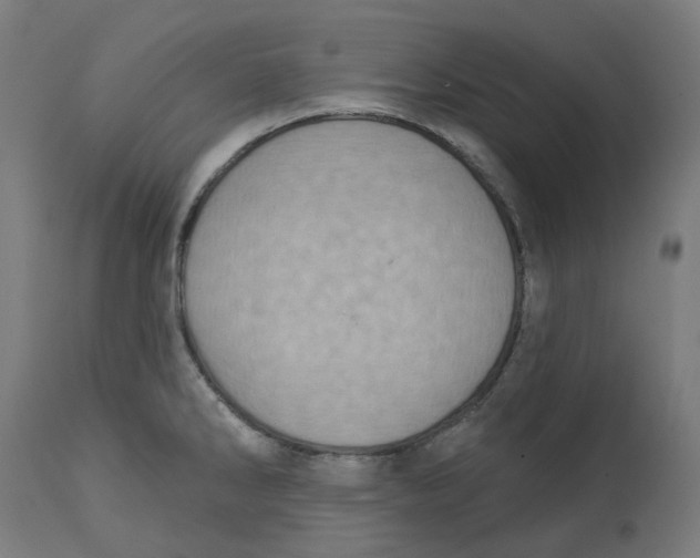 X0000112761286200909171241