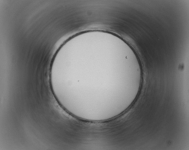 X0000112761288200909171241
