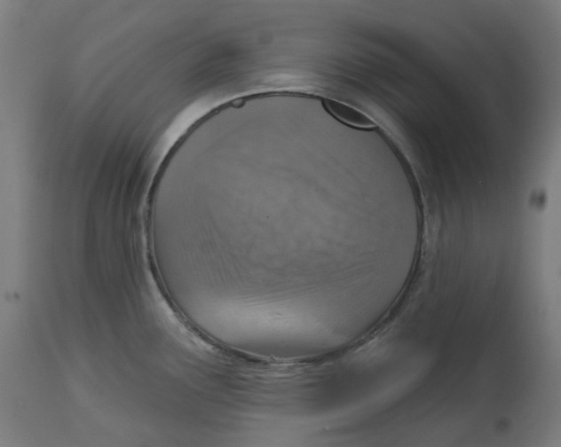 X0000112761291200909171241