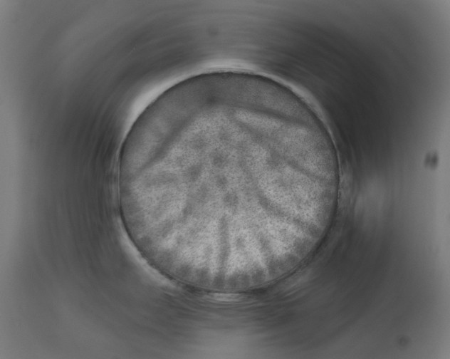 X0000112761295200909171241