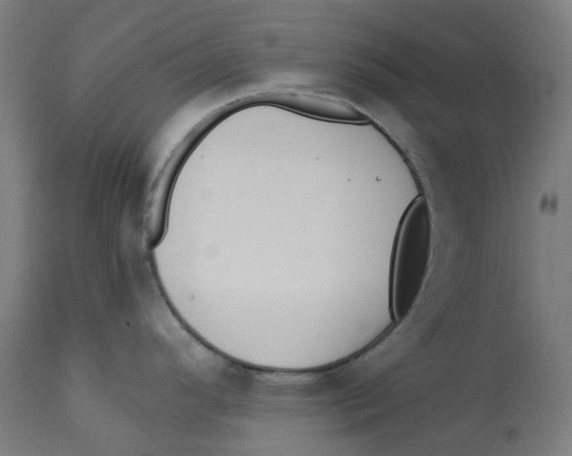 X0000112761296200909171241