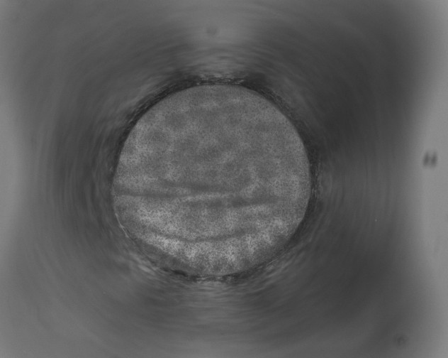 X0000112761297200909171240