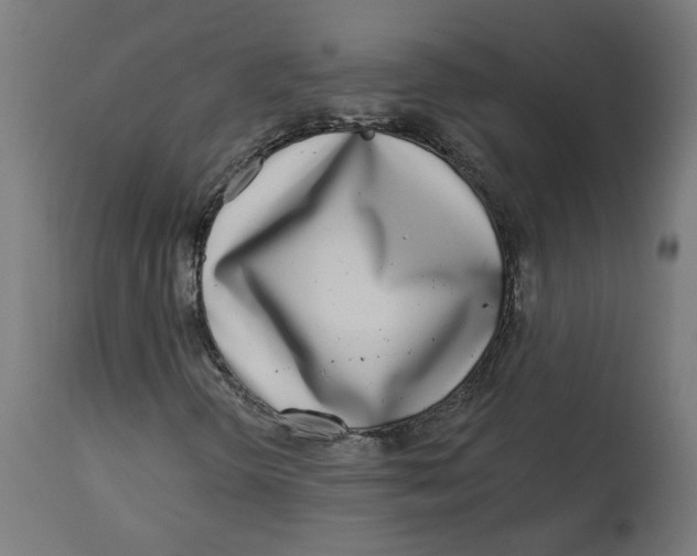 X0000112761298200909171240