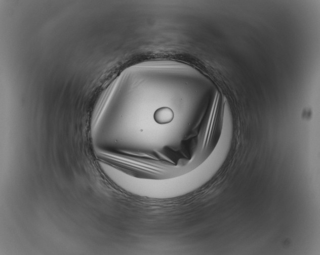 X0000112761300200909171240