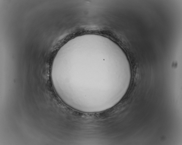 X0000112761301200909171240