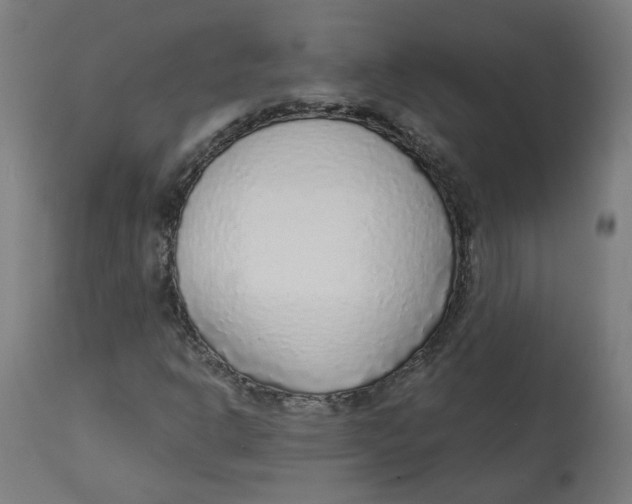 X0000112761302200909171240