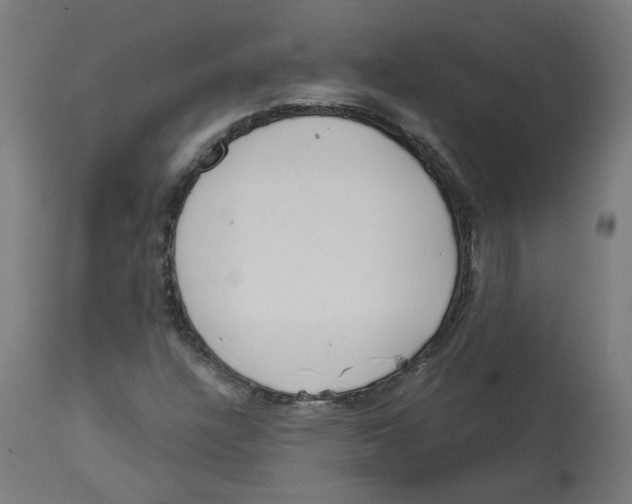 X0000112761304200909171240