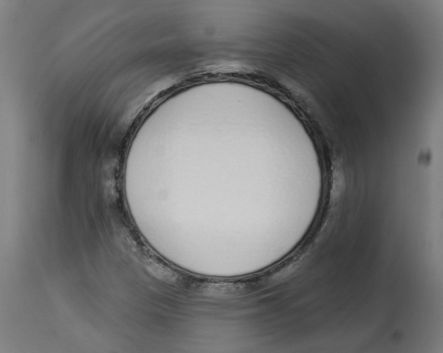 X0000112761305200909171240
