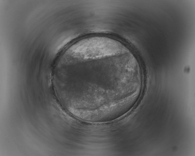 X0000112761306200909171240