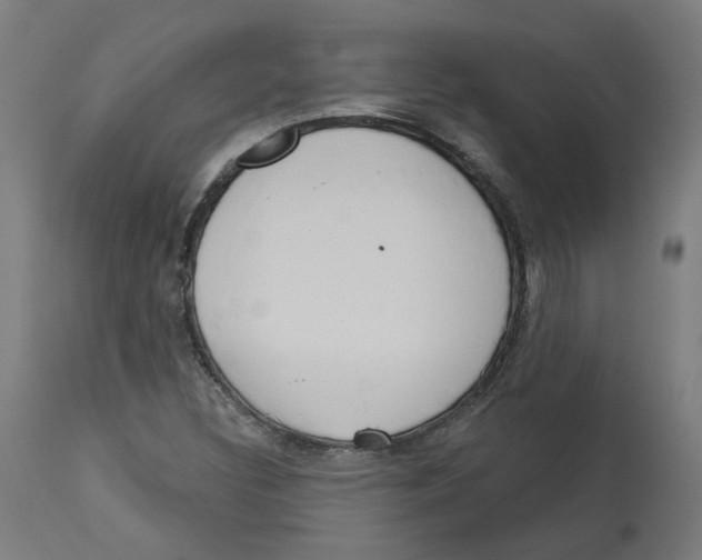 X0000112761308200909171240
