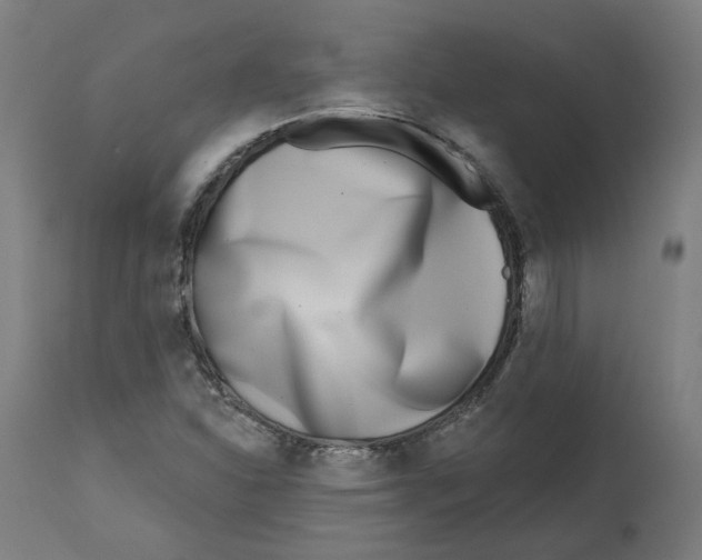 X0000112761310200909171240