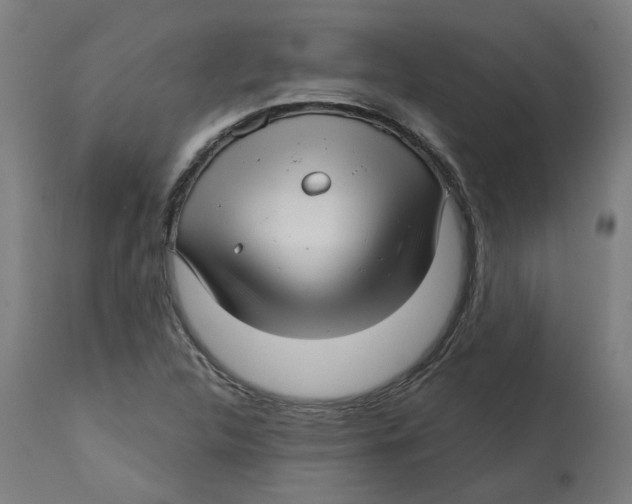 X0000112761312200909171240